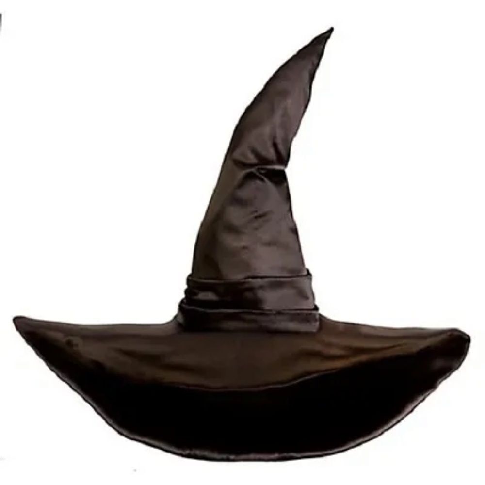 Disney Oz WICKED WITCH BLACK HAT Adult Disney Store, Never got to wear - Picture 3 of 12